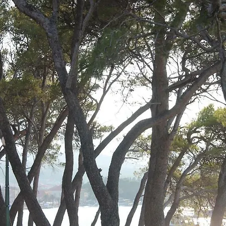 Covahouse Appartement