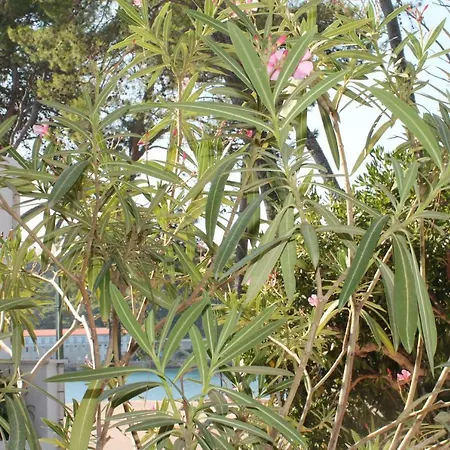 Appartement Covahouse *