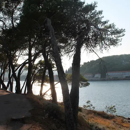 Apartman Covahouse Jelsa