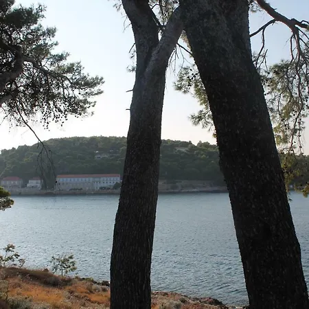 Covahouse Apartman
