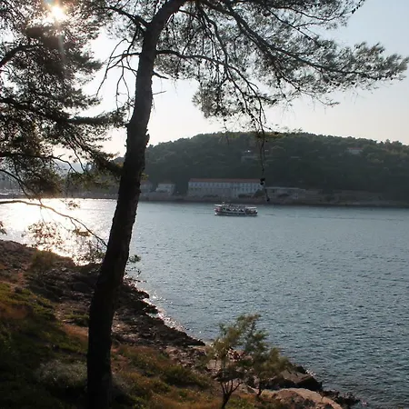 Apartman Covahouse *