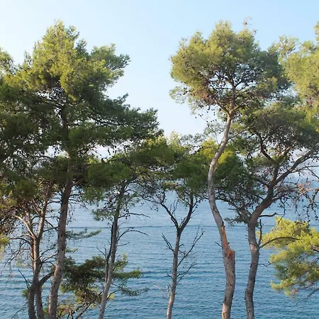 Covahouse Jelsa (Hvar)