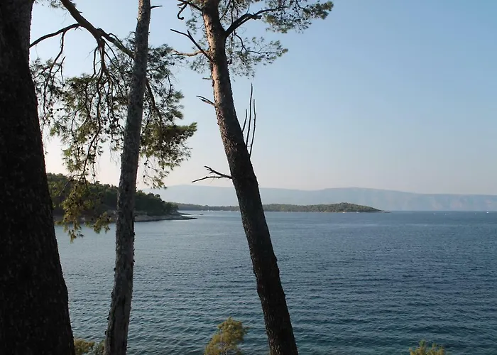 Covahouse Apartament *