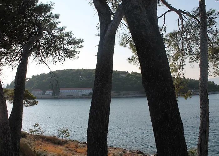 Covahouse Apartament