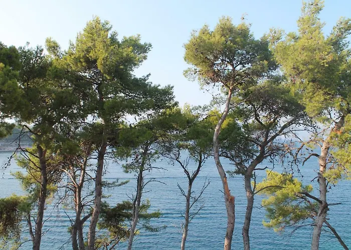 Covahouse Jelsa (Hvar)